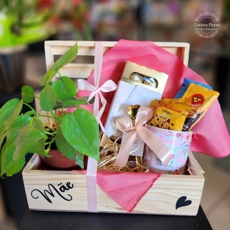 Encanto Dourado com Plantinha