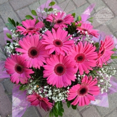 Vibrao Pink