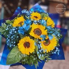 Buqu 6 Girassis Blue