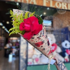 1 Rosa no Papel Jornal