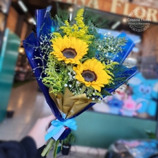 Dueto Girassois Blue