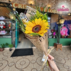 Girassol no Jornal com Ferrero T3