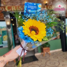 1 Girassol de Van Gogh