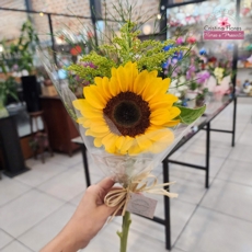 Girassol pra Presente