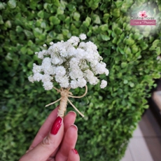 Lapela de mosquitinho