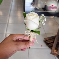 Lapela de Rosa Branca