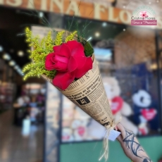 1 Rosa no Papel Jornal