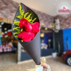 1 Rosa Vermelha no Papel Preto