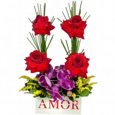 Amor de Rosas Colombianas