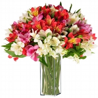 Vaso Alstroemerias Mix