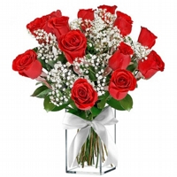 Aqurio Red Roses