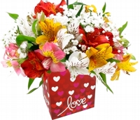Love Mix Cores