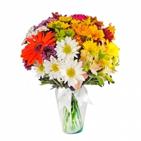 Flores Campestres em Vaso