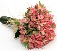 Buqu Alstromlias Cor-de-Rosa