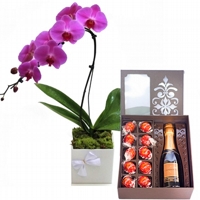 Orqudeas Phal Lils, Chandon e Lindt