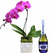 Orqudeas Phal Lils e Espumante Italiano