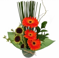 Arte em Grberas Design