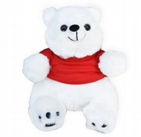 Urso Polar 