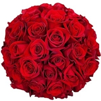 25 Rosas Colombianas Vermelhas