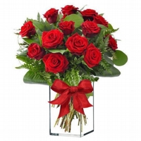 Amor Perfeito, Luxuosas 12 Rosas Colombianas