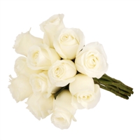 Rosas Colombianas Brancas com 12