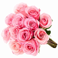 12 Rosas Colombianas cor de Rosa