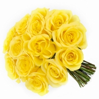Rosas Colombianas Amarelas com 12