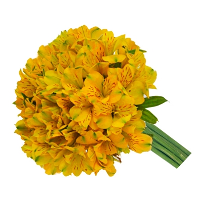 Buquê de Astromélias Amarelas | Flores Vip - Floricultura Online