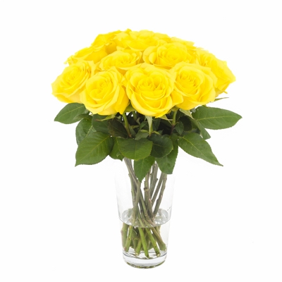 Rosas Colombianas Amarelas - Sofisticação