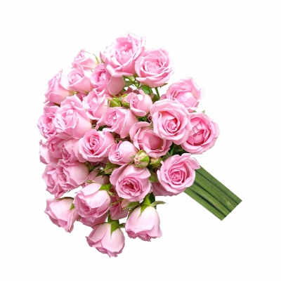 Buque de Flores Mini Rosas cor de rosa