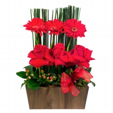Arranjo de Flores Trio Duplo