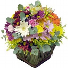 Arranjo de Flores do Campo Talento