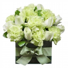 Arranjo de Rosas e Hortnsias Delicadeza