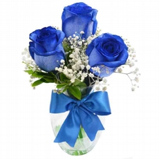 Arranjo Trio Azul