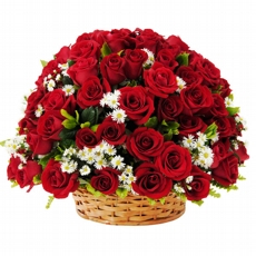 Cesta de Rosas Vermelhas Exploso