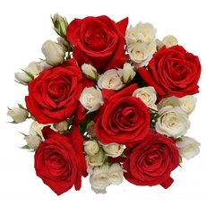 Buqu de Rosas X
