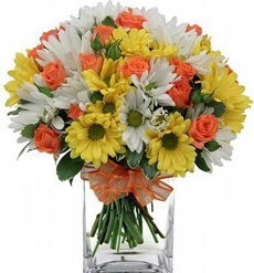 Arranjo de Flores Orange