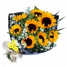 Buqu de Girassis Belo Dia Especial