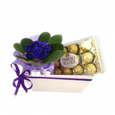 Caixa de Flor e Chocolate Alegria