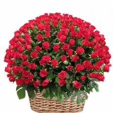 Cesta de 200 Rosas Vermelhas Amor Exagerado