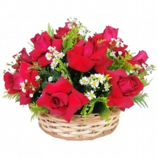 Cesta de Rosas Colombianas Vermelhas Emoo
