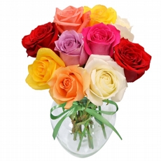 Arranjo de 12 Rosas coloridas Copacabana