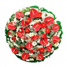 Coroa de Flores Antrios