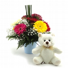 Arranjo de 10 Grberas coloridas Carinho para ele + urso