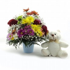Arranjo de Flores do Campo Colorido  para ele + urso
