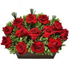 Arranjo de 14 Rosas Colombianas Impacto Profundo