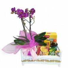Cesta de Orqudeas e Petiscos Clssica