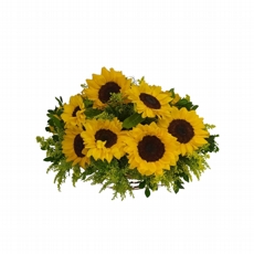 Cesta de Girassis 