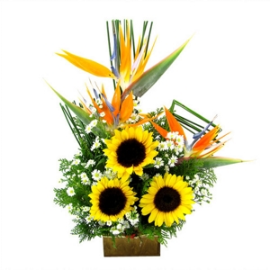 Arranjo de Girassis Sol Brilhante 2