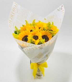 Buqu� Positividade